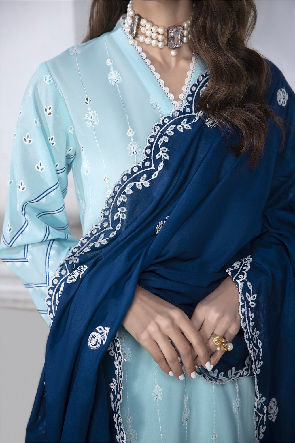 LSM | Spring Embroidered 24 | A-1 - Riwayat-e-Khas