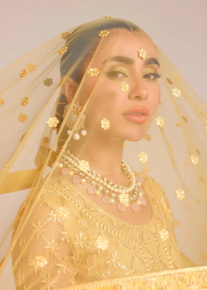Tena Durrani | Amelie Luxe Formals | Sunflower - Riwayat-e-Khas