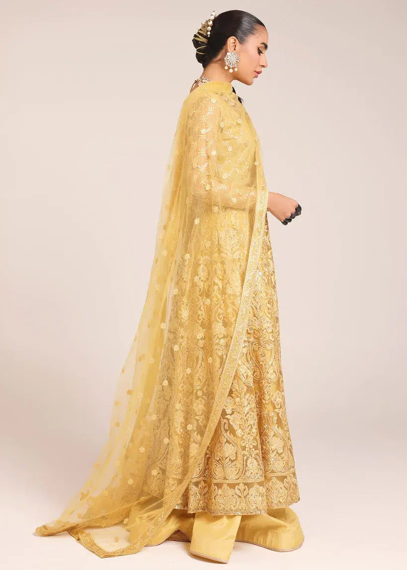 Tena Durrani | Amelie Luxe Formals | Sunflower - Riwayat-e-Khas