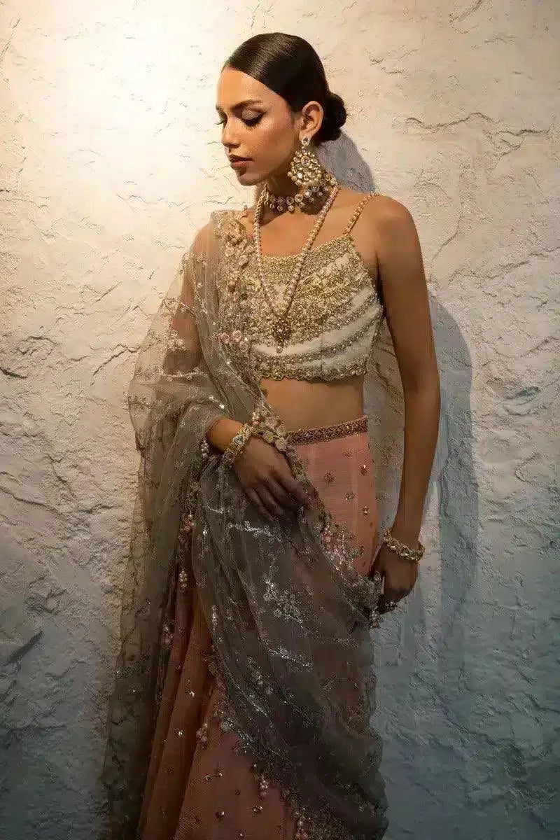 Sana Safinaz | Nura Festive 2023 | N232-004-CT - House Of Anaya