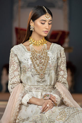 Raeesa Premium | LUXURY COLLECTION 23 | HU-2005 - House Of Anaya