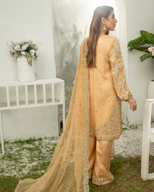 Nyra | Wedding Formals 24 | Rhea - Riwayat-e-Khas