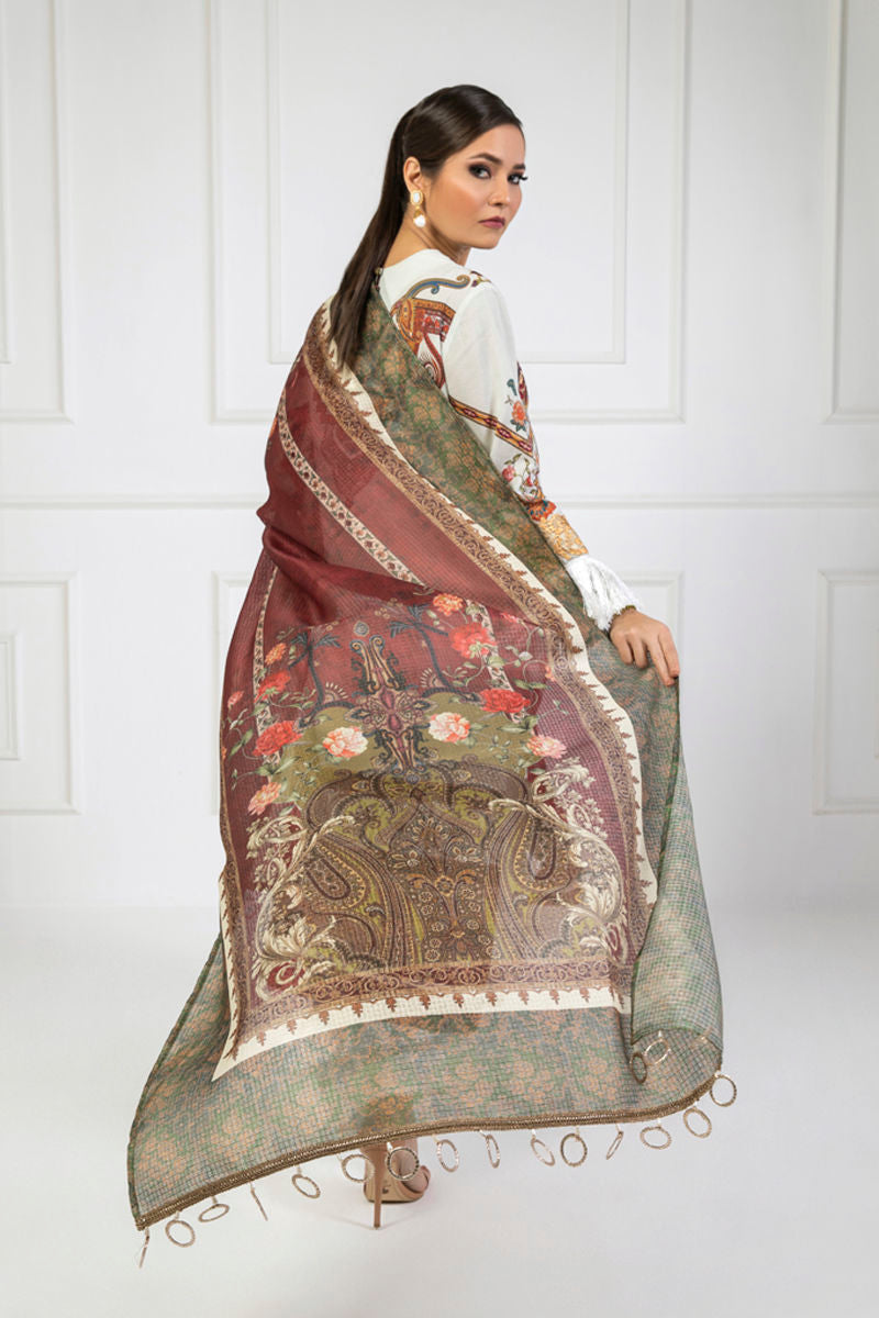 Shamaeel Ansari | Lawn 24 | LV11 - Riwayat-e-Khas