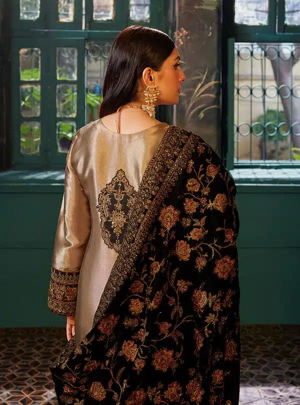 Zainab Chottani | Luxury Velvet Collection 23 | Maysa - Riwayat-e-Khas